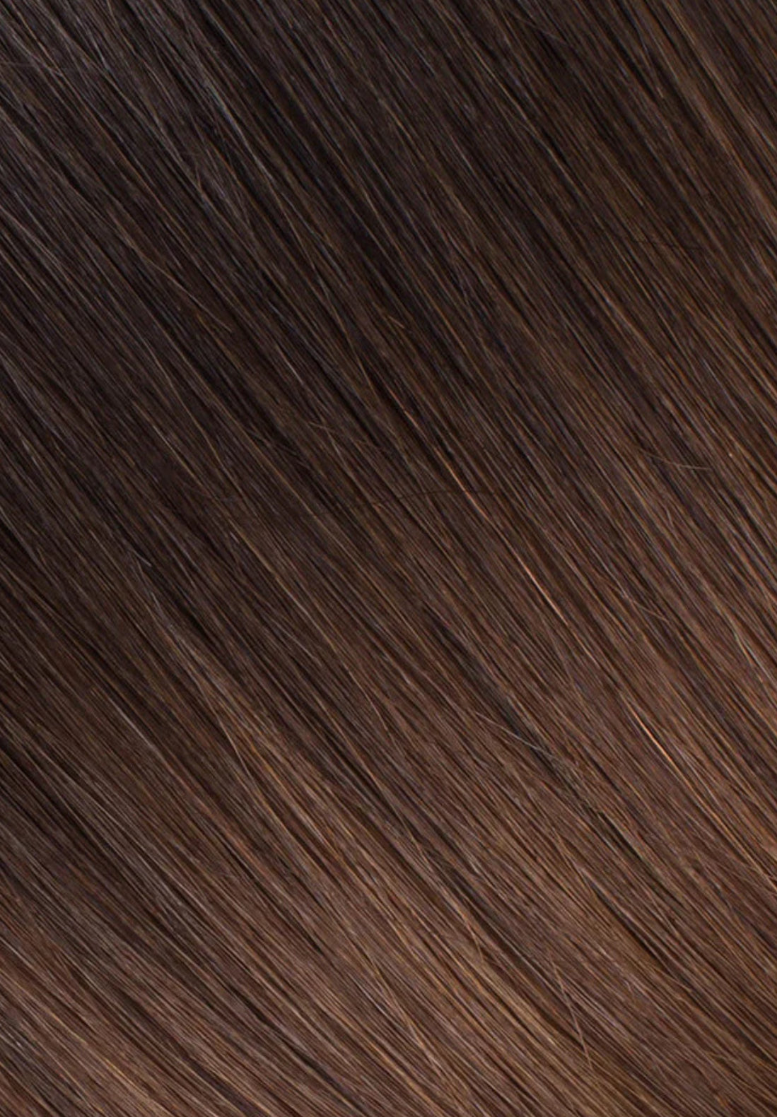 MOCHACHINO BROWN/CHESTNUT BROWN